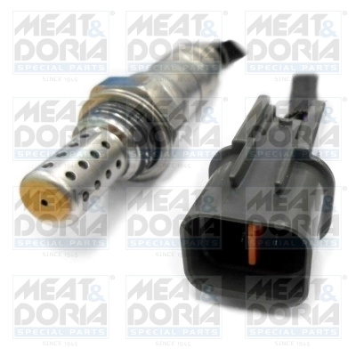 Oxygen Sensor